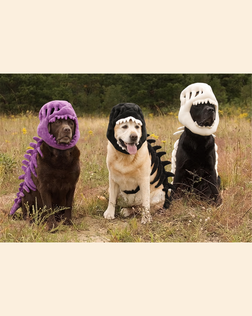 Doggo Dino Hood™